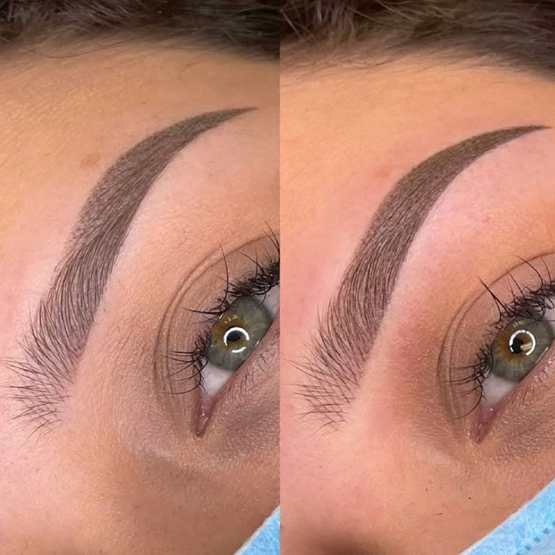 Eyebrow Microblading Powder Intial